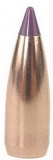 NOSLER Ballistic Tip Varmint Spitzer 6mm .243 80grs. 100 Stück
